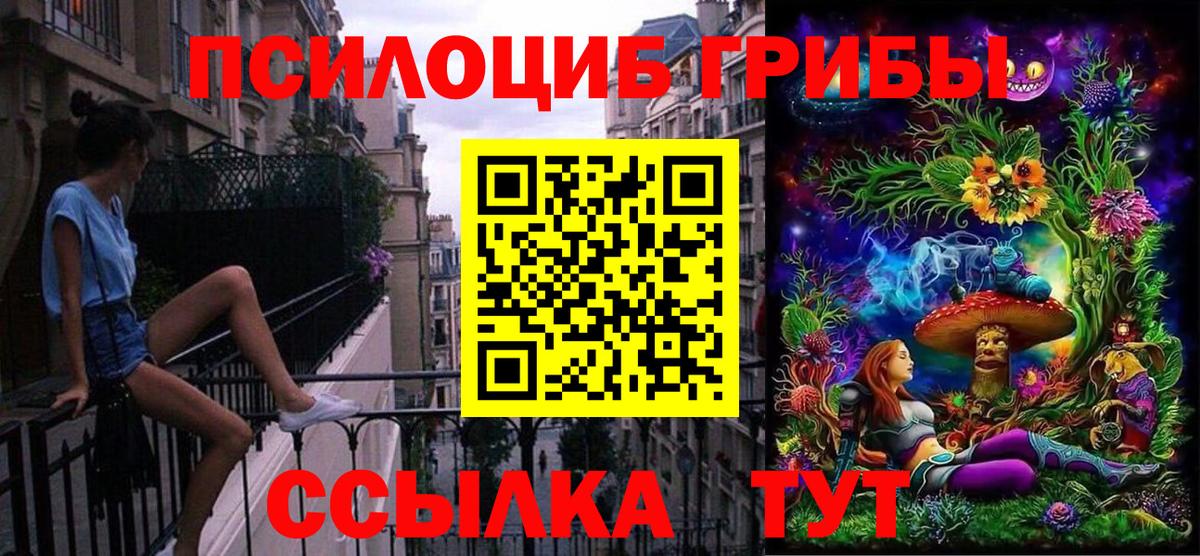Галлюциногенные грибы Psilocybine cubensis Ирбит
