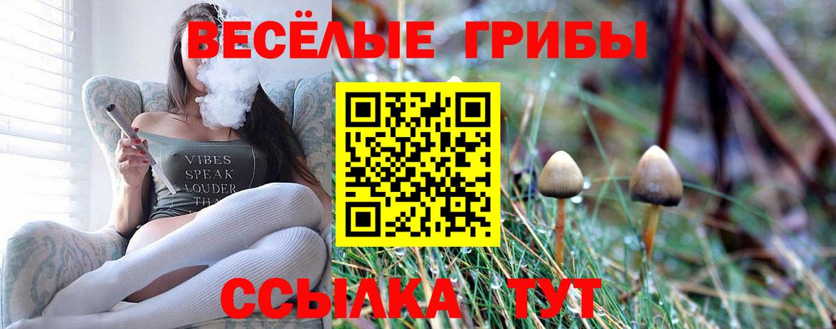 Галлюциногенные грибы GOLDEN TEACHER  Галлюциногенные грибы мухоморы  Ирбит  Вход с VPN 